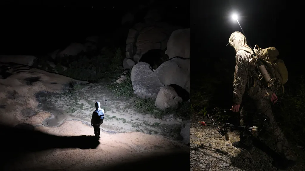 08 backpack light.webp