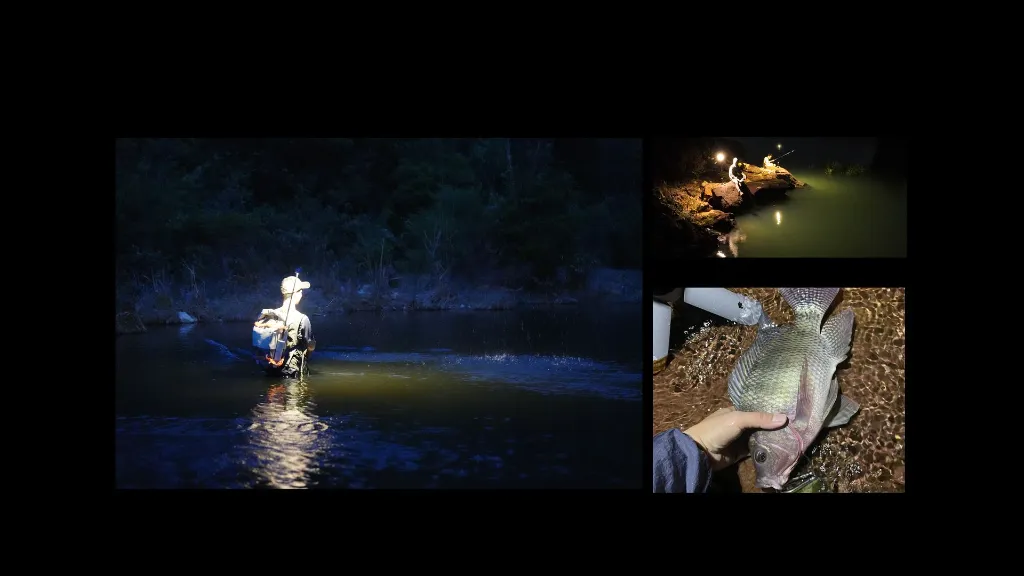 029 fishing.webp