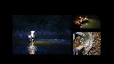 029 fishing.webp
