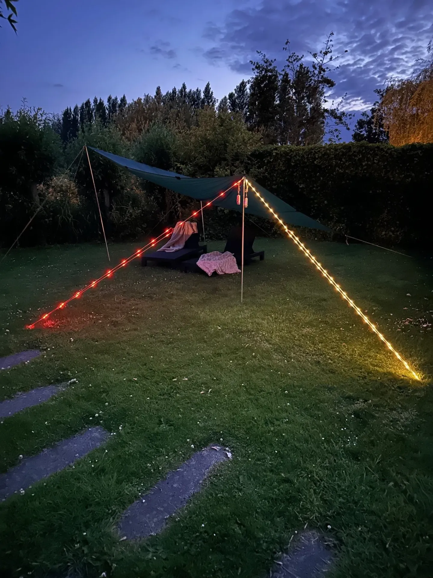 Eurotrail oplaadbare verlichte scheerlijn. (White)