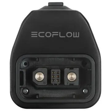 EcoFlow DELTA Pro naar Smart Generator Adapter
